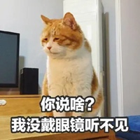 橘猫表情包妙啊高清