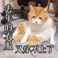 橘猫表情包妙啊高清