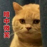 橘猫表情包妙啊高清