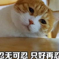 橘猫表情包妙啊高清