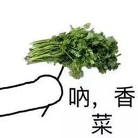 香菜表情包