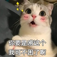 可爱猫猫表情包