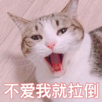 可爱猫猫表情包