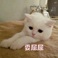 可爱猫猫表情包