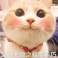 可爱猫猫表情包