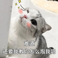 可爱猫猫表情包