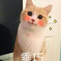 可爱猫猫表情包