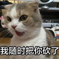 可爱猫猫表情包