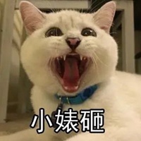 可爱猫猫表情包