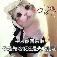 可爱猫猫表情包