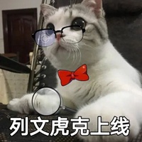 可爱猫猫表情包