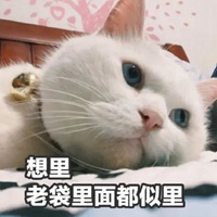 可爱猫猫表情包