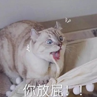 可爱猫猫表情包