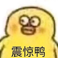 可爱鸭表情包