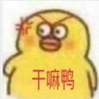 可爱鸭表情包