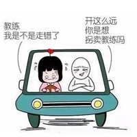 妈我练车回来了表情包