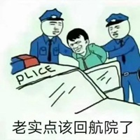 老实点回七中了表情包