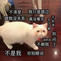 路过表情包