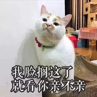 亲额头表情包