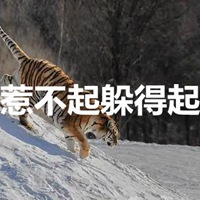 惹不起躲得起带字图片