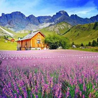 头像自然风景 花草自然风景唯美头像