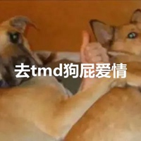 狗屁爱情头像 去tmd狗屁爱情头像带字