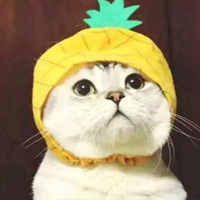 菠萝猫头像
