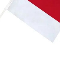 摩纳哥国旗高清图片