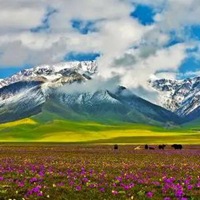 新疆头像 最具特色新疆风景头像