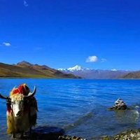 西藏头像 最具特色西藏风景头像