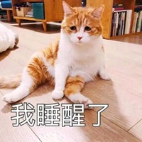 刚睡醒的图片带字