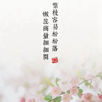 古风古韵唯美图片带字