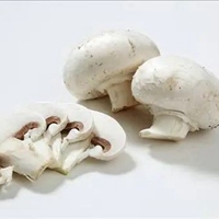 大头蘑菇图片