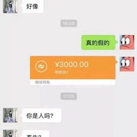 微信转账高仿表情包