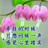 担心牵挂图片带字