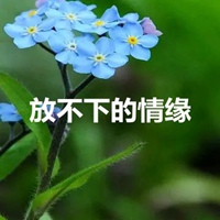 放不下的情缘图片带字