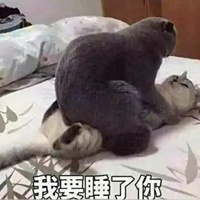 猥琐小萌萌表情包