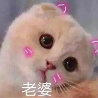 猥琐小萌萌表情包