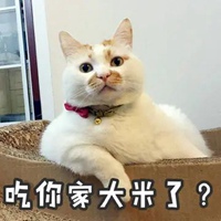 猥琐小萌萌表情包