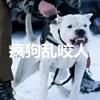 疯狗乱咬人带字图片