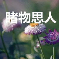 睹物思人的图片带字