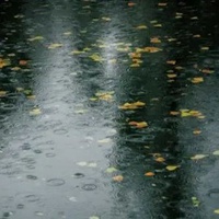 秋雨图片带字唯美图片
