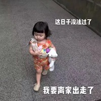 突然日子没法过表情包