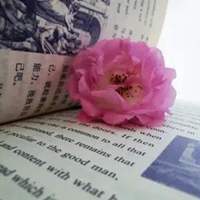 书中间有一朵花图片