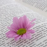 书中间有一朵花图片
