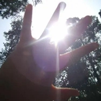 手指间的一抹阳光图片