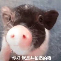 猪吃饭表情包