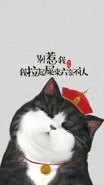 少女与猫的二次元头像