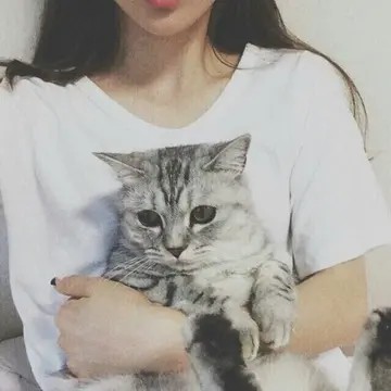 戴眼镜猫咪头像