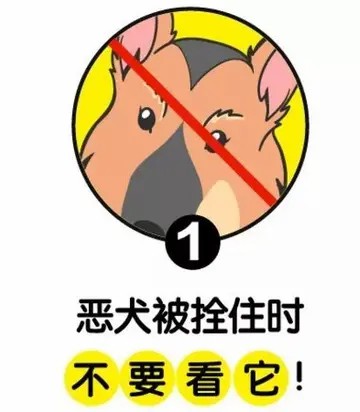 恶犬头像